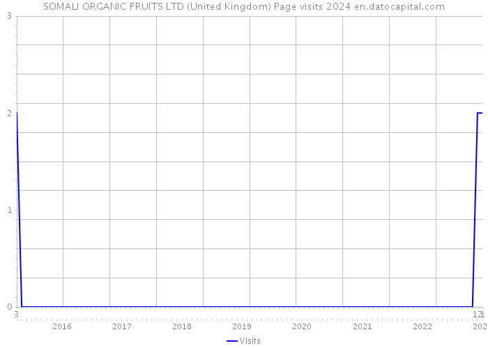 SOMALI ORGANIC FRUITS LTD (United Kingdom) Page visits 2024 