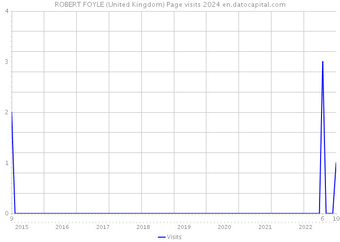ROBERT FOYLE (United Kingdom) Page visits 2024 