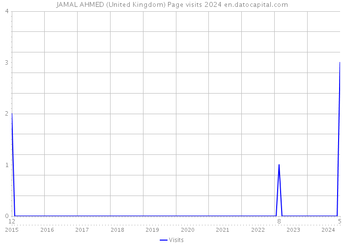JAMAL AHMED (United Kingdom) Page visits 2024 
