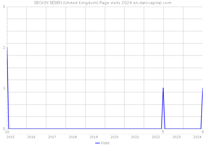 SECKIN SESEN (United Kingdom) Page visits 2024 