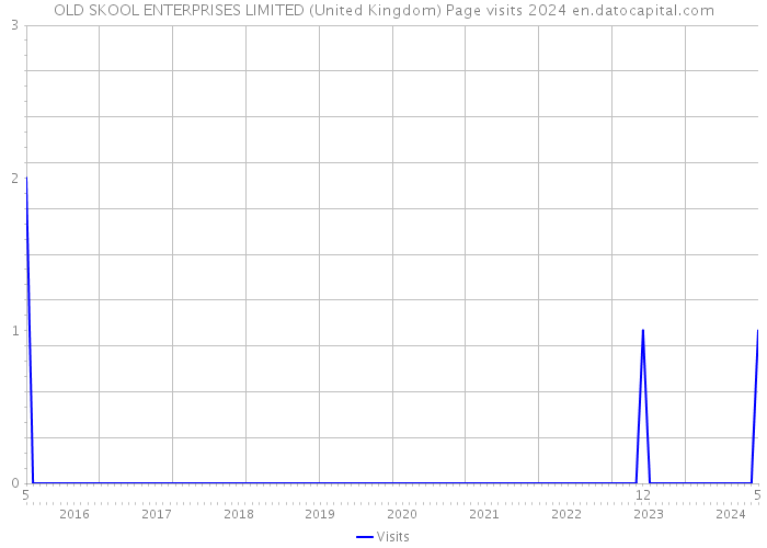 OLD SKOOL ENTERPRISES LIMITED (United Kingdom) Page visits 2024 