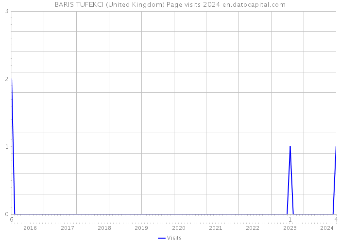 BARIS TUFEKCI (United Kingdom) Page visits 2024 