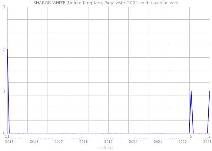 SHARON WHITE (United Kingdom) Page visits 2024 