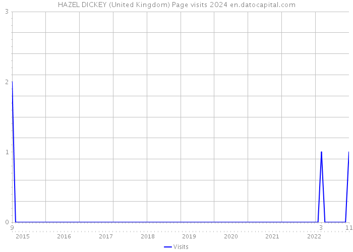 HAZEL DICKEY (United Kingdom) Page visits 2024 