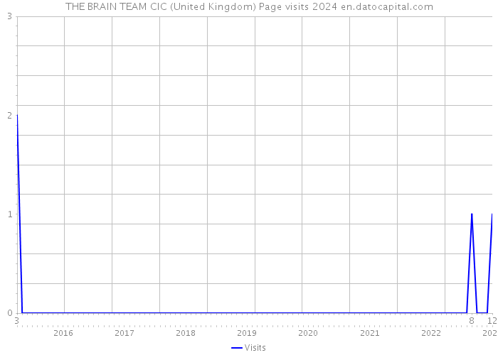 THE BRAIN TEAM CIC (United Kingdom) Page visits 2024 