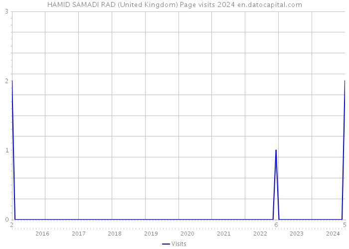 HAMID SAMADI RAD (United Kingdom) Page visits 2024 