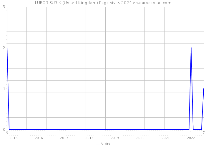 LUBOR BURIK (United Kingdom) Page visits 2024 