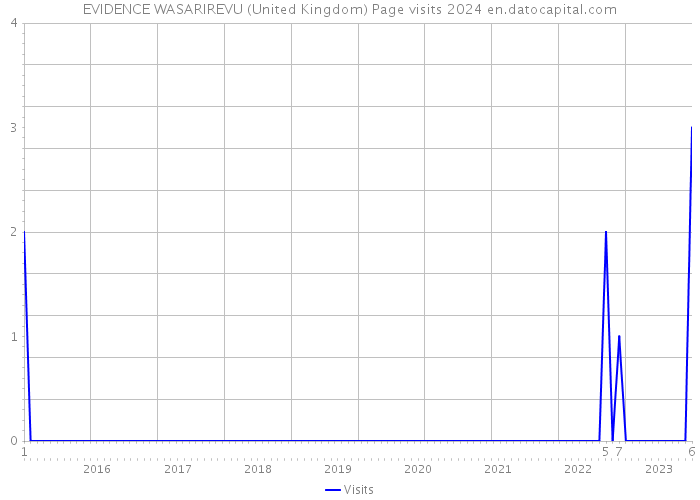 EVIDENCE WASARIREVU (United Kingdom) Page visits 2024 