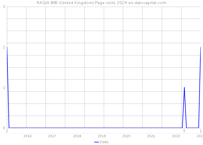 RAQIA BIBI (United Kingdom) Page visits 2024 