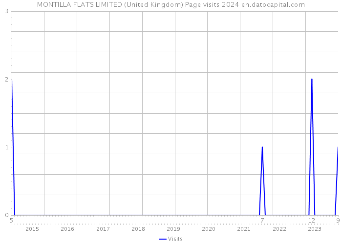 MONTILLA FLATS LIMITED (United Kingdom) Page visits 2024 