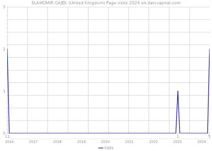 SLAWOMIR GAJEK (United Kingdom) Page visits 2024 