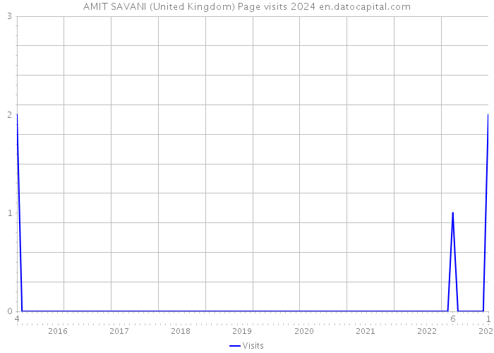 AMIT SAVANI (United Kingdom) Page visits 2024 