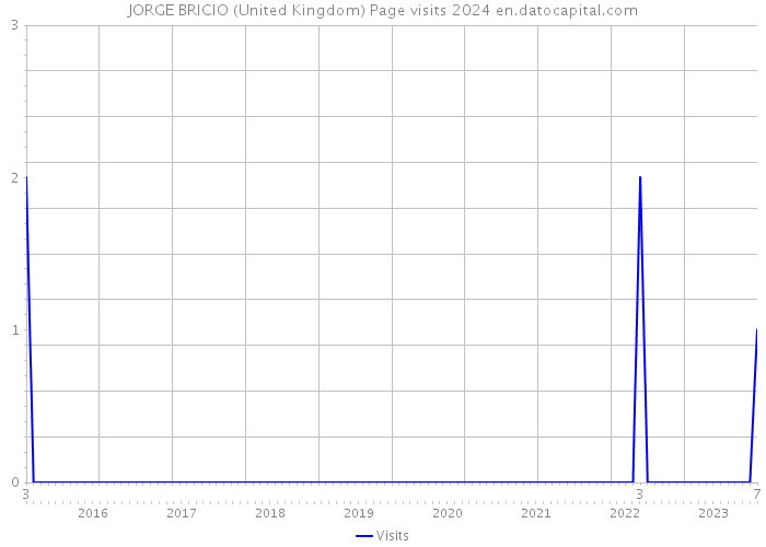 JORGE BRICIO (United Kingdom) Page visits 2024 