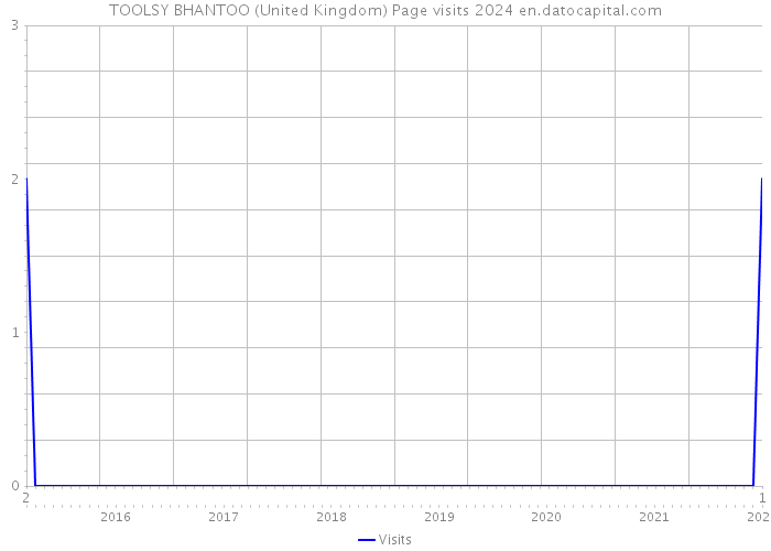 TOOLSY BHANTOO (United Kingdom) Page visits 2024 