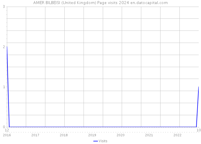 AMER BILBEISI (United Kingdom) Page visits 2024 