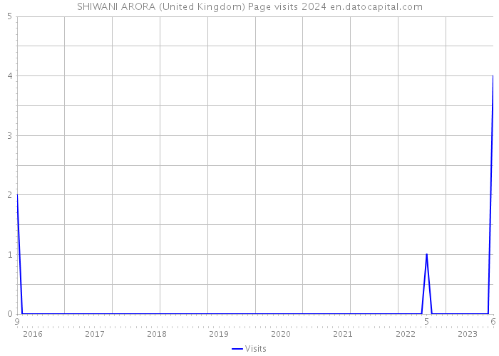 SHIWANI ARORA (United Kingdom) Page visits 2024 