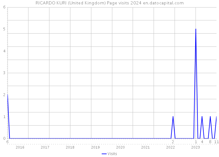 RICARDO KURI (United Kingdom) Page visits 2024 