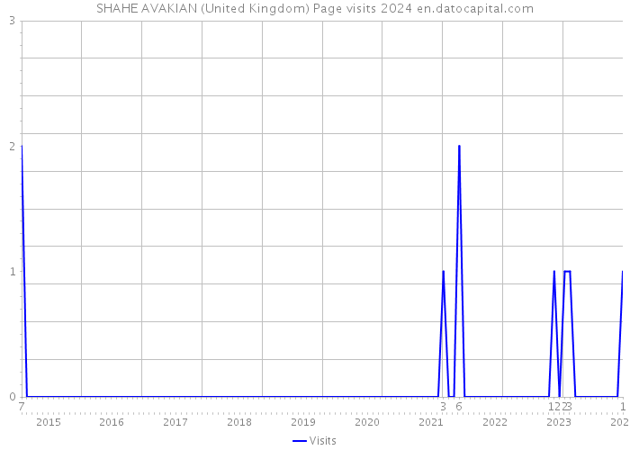 SHAHE AVAKIAN (United Kingdom) Page visits 2024 