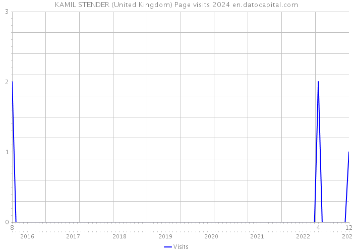 KAMIL STENDER (United Kingdom) Page visits 2024 