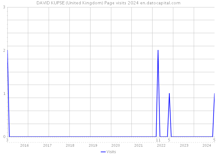 DAVID KUPSE (United Kingdom) Page visits 2024 