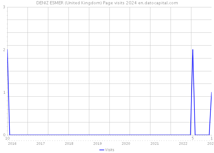 DENIZ ESMER (United Kingdom) Page visits 2024 