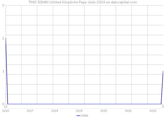 TINO ZISHIRI (United Kingdom) Page visits 2024 