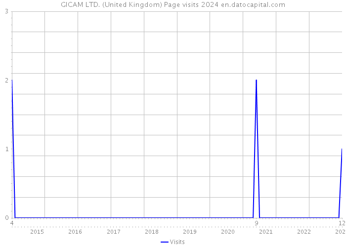 GICAM LTD. (United Kingdom) Page visits 2024 