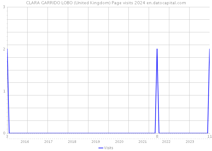 CLARA GARRIDO LOBO (United Kingdom) Page visits 2024 