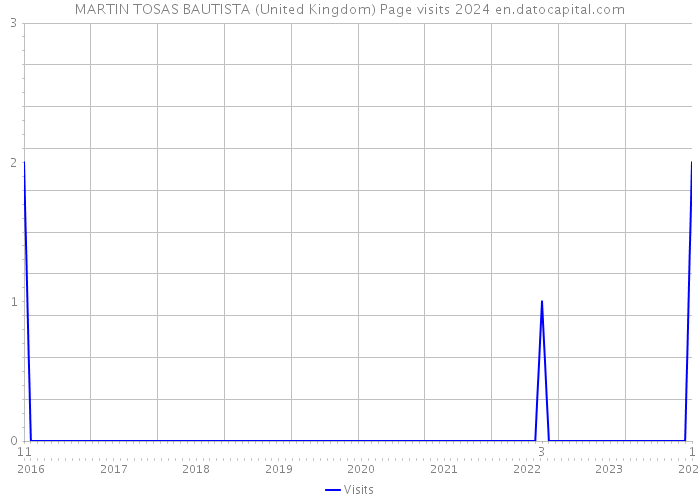 MARTIN TOSAS BAUTISTA (United Kingdom) Page visits 2024 
