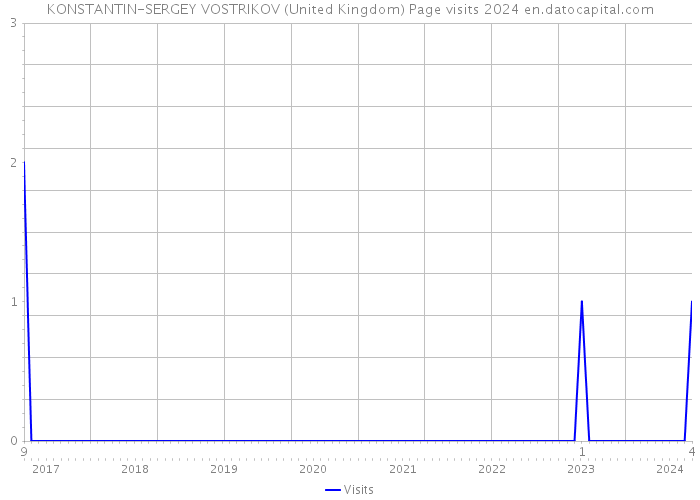 KONSTANTIN-SERGEY VOSTRIKOV (United Kingdom) Page visits 2024 