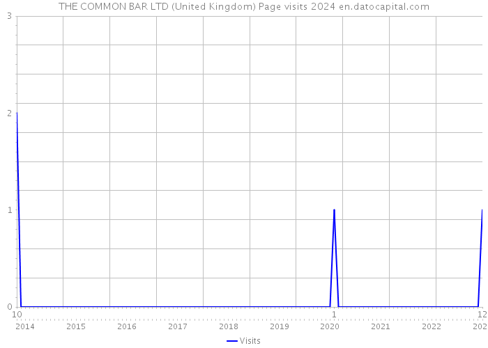 THE COMMON BAR LTD (United Kingdom) Page visits 2024 
