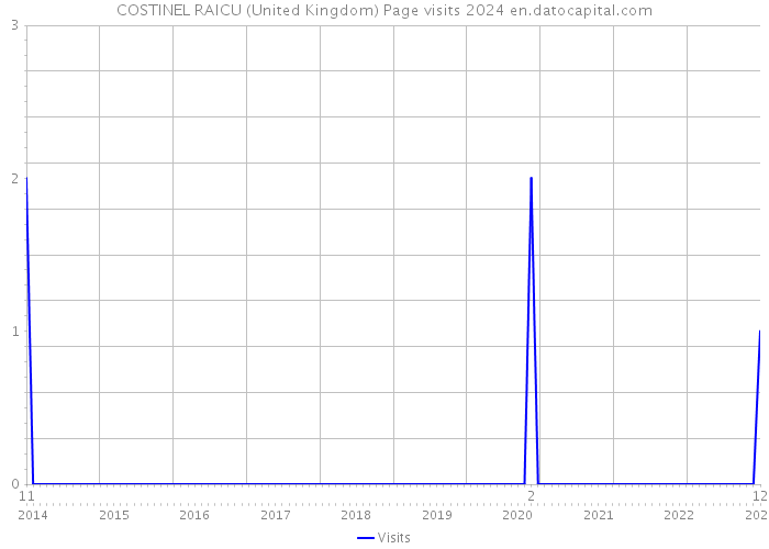 COSTINEL RAICU (United Kingdom) Page visits 2024 
