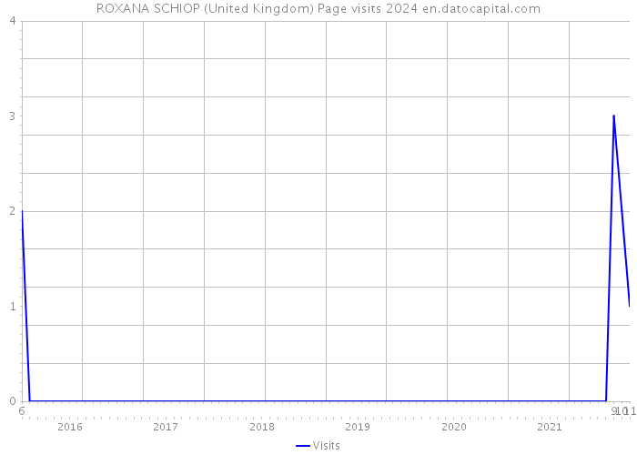 ROXANA SCHIOP (United Kingdom) Page visits 2024 