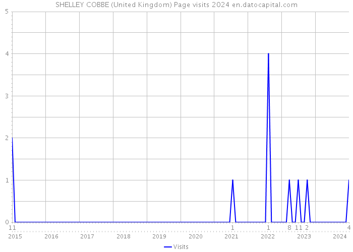 SHELLEY COBBE (United Kingdom) Page visits 2024 