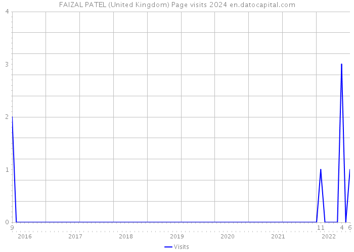 FAIZAL PATEL (United Kingdom) Page visits 2024 