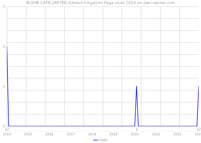 BUSHE CAFE LIMITED (United Kingdom) Page visits 2024 