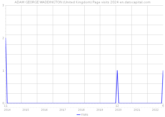 ADAM GEORGE WADDINGTON (United Kingdom) Page visits 2024 