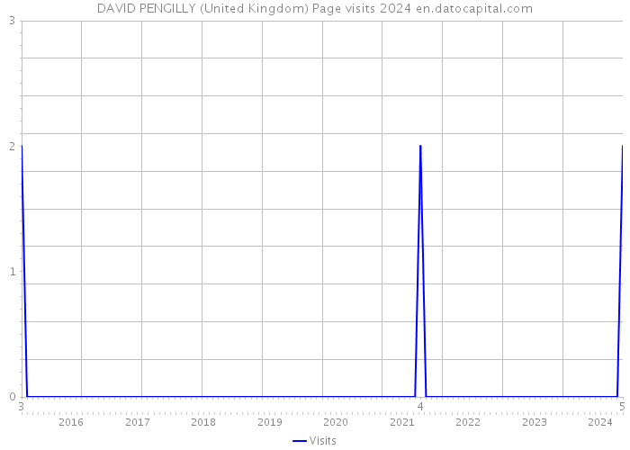 DAVID PENGILLY (United Kingdom) Page visits 2024 