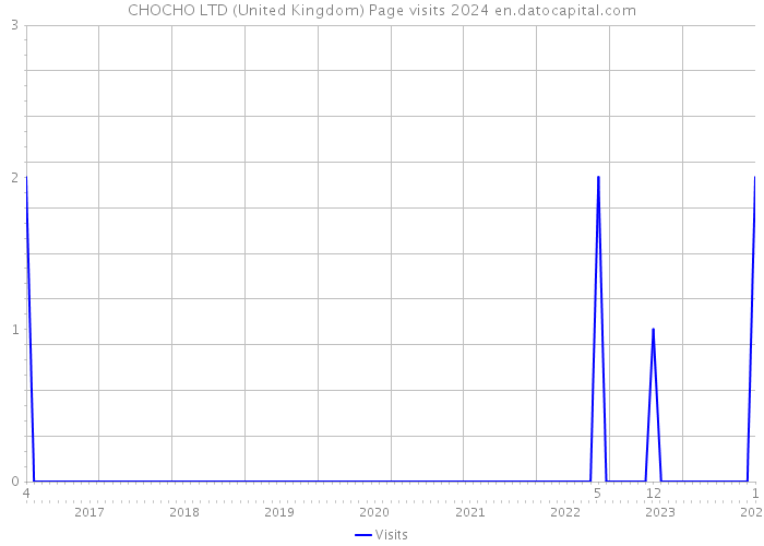 CHOCHO LTD (United Kingdom) Page visits 2024 