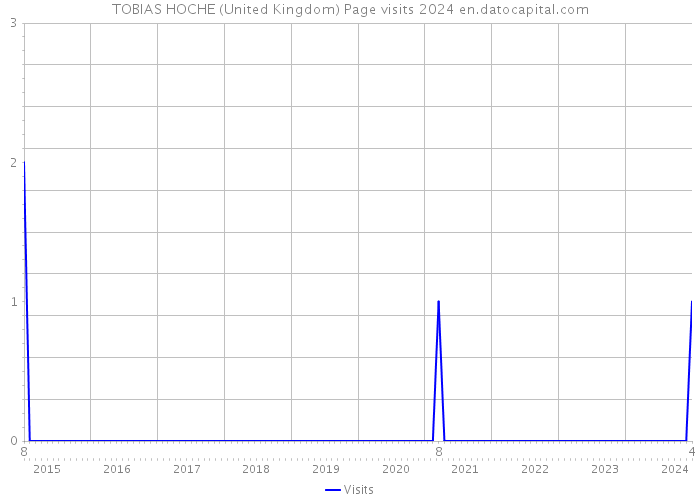 TOBIAS HOCHE (United Kingdom) Page visits 2024 