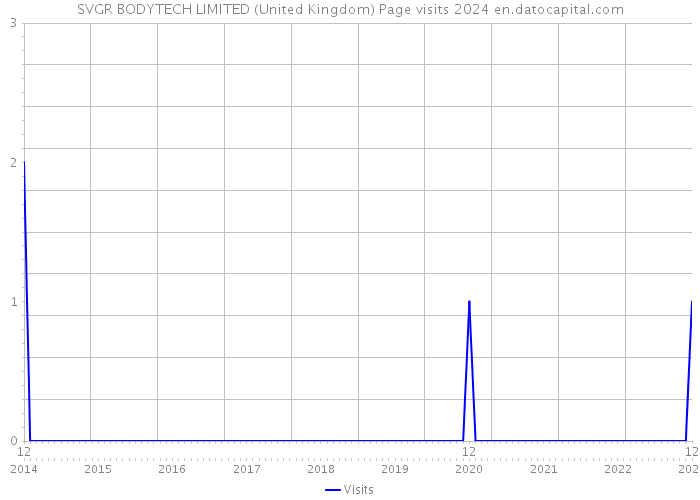 SVGR BODYTECH LIMITED (United Kingdom) Page visits 2024 