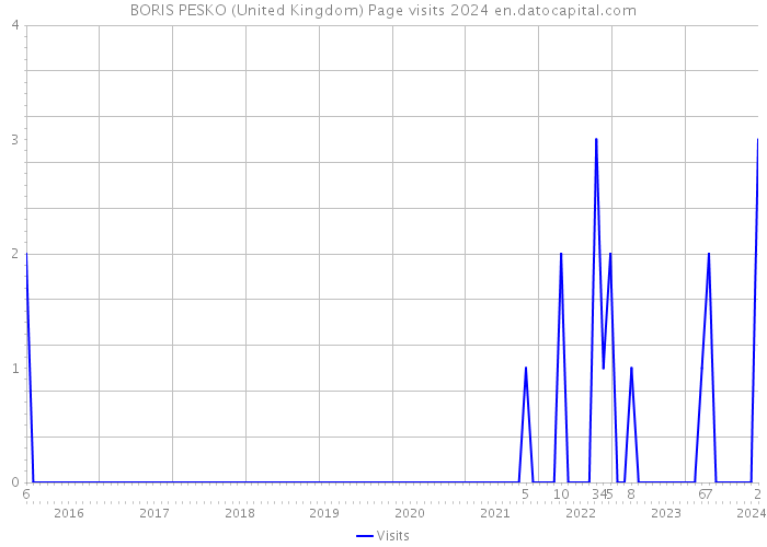 BORIS PESKO (United Kingdom) Page visits 2024 