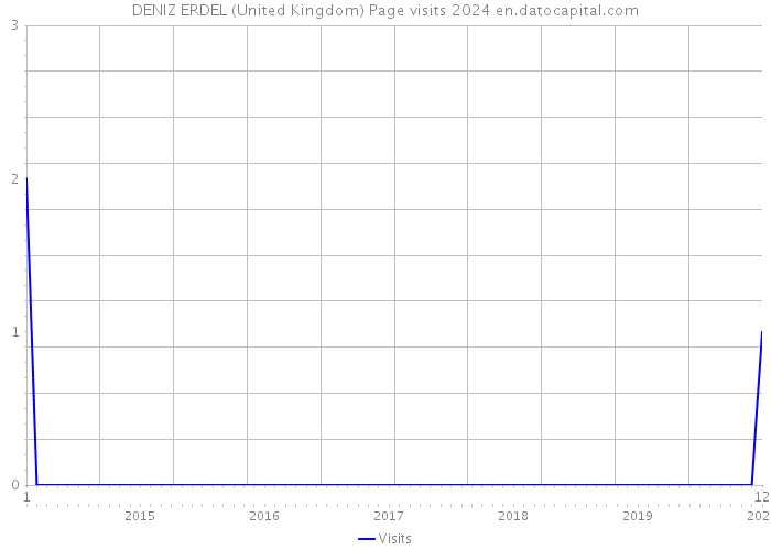 DENIZ ERDEL (United Kingdom) Page visits 2024 