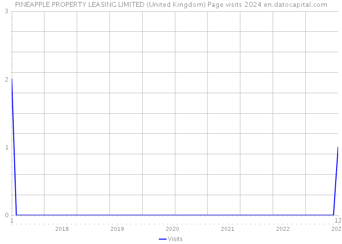 PINEAPPLE PROPERTY LEASING LIMITED (United Kingdom) Page visits 2024 