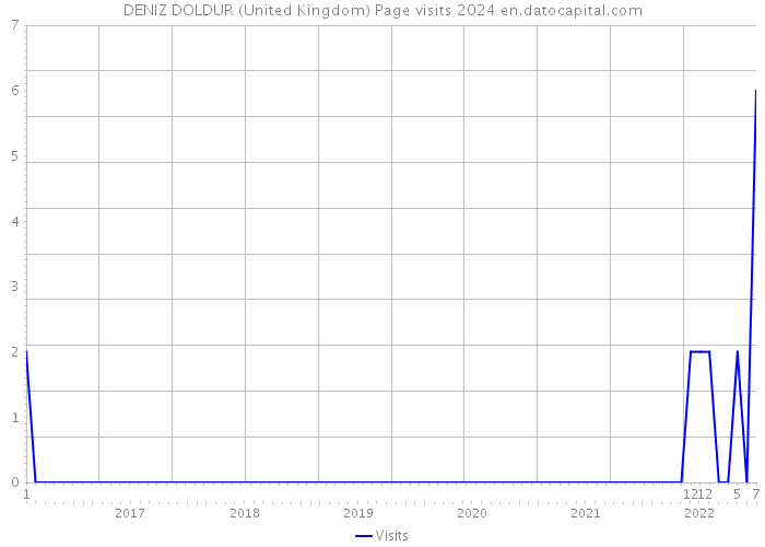 DENIZ DOLDUR (United Kingdom) Page visits 2024 
