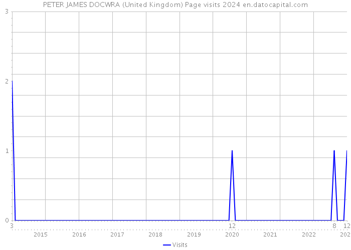 PETER JAMES DOCWRA (United Kingdom) Page visits 2024 
