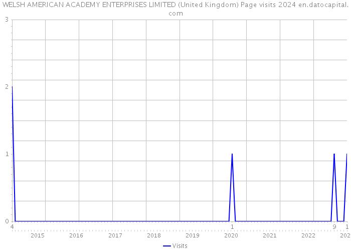 WELSH AMERICAN ACADEMY ENTERPRISES LIMITED (United Kingdom) Page visits 2024 