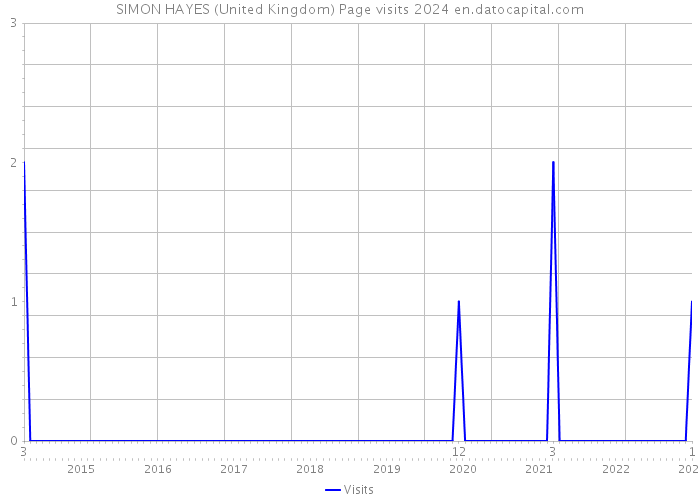 SIMON HAYES (United Kingdom) Page visits 2024 