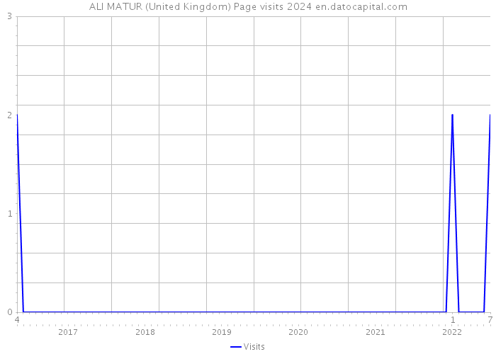 ALI MATUR (United Kingdom) Page visits 2024 