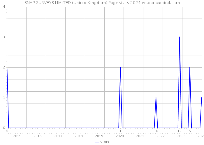 SNAP SURVEYS LIMITED (United Kingdom) Page visits 2024 